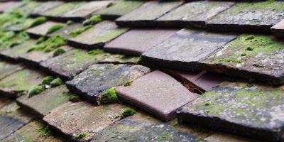 Cheltenham roof repair costs